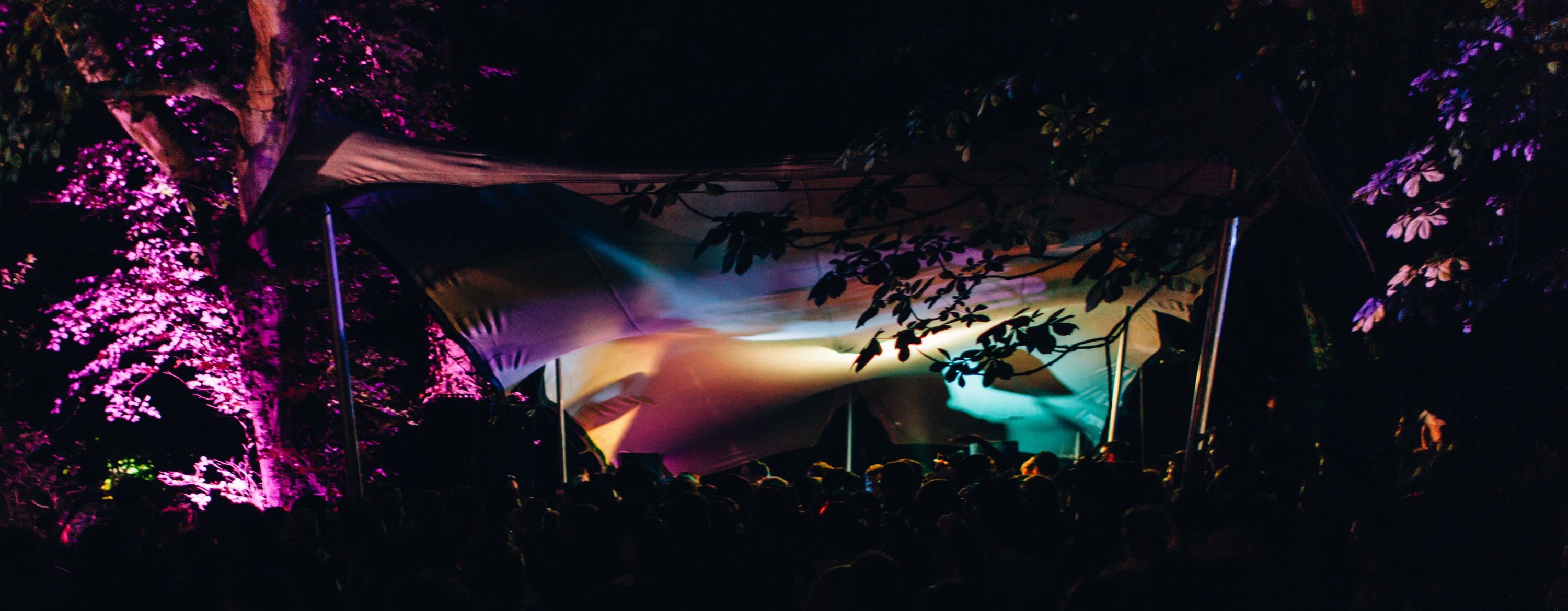 Gottwood16-1