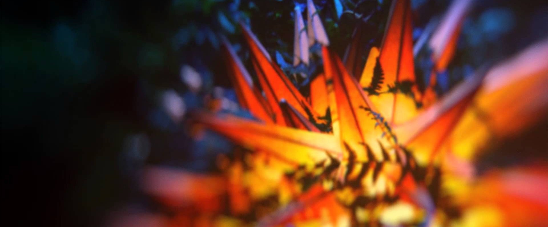 Late Night Tales Jon Hopkins