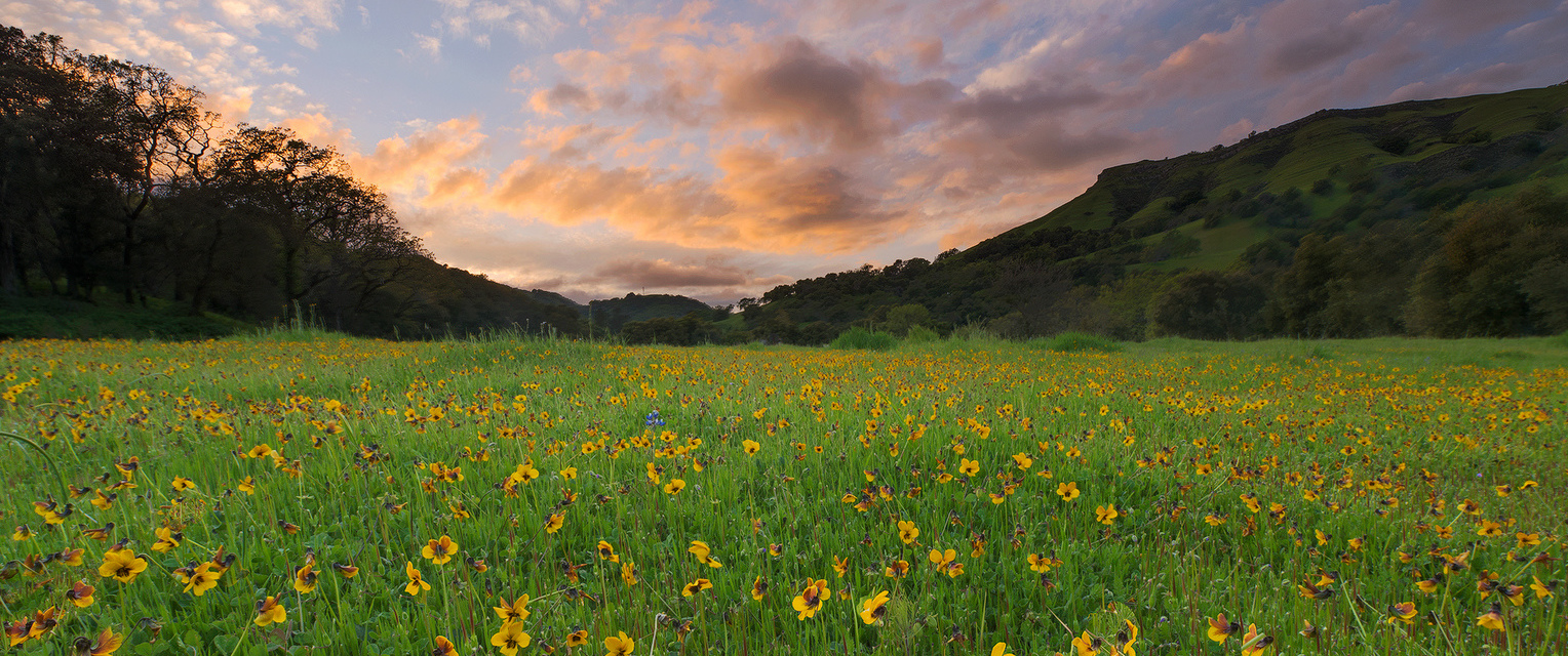 25320002054_8bfa71fc20_h