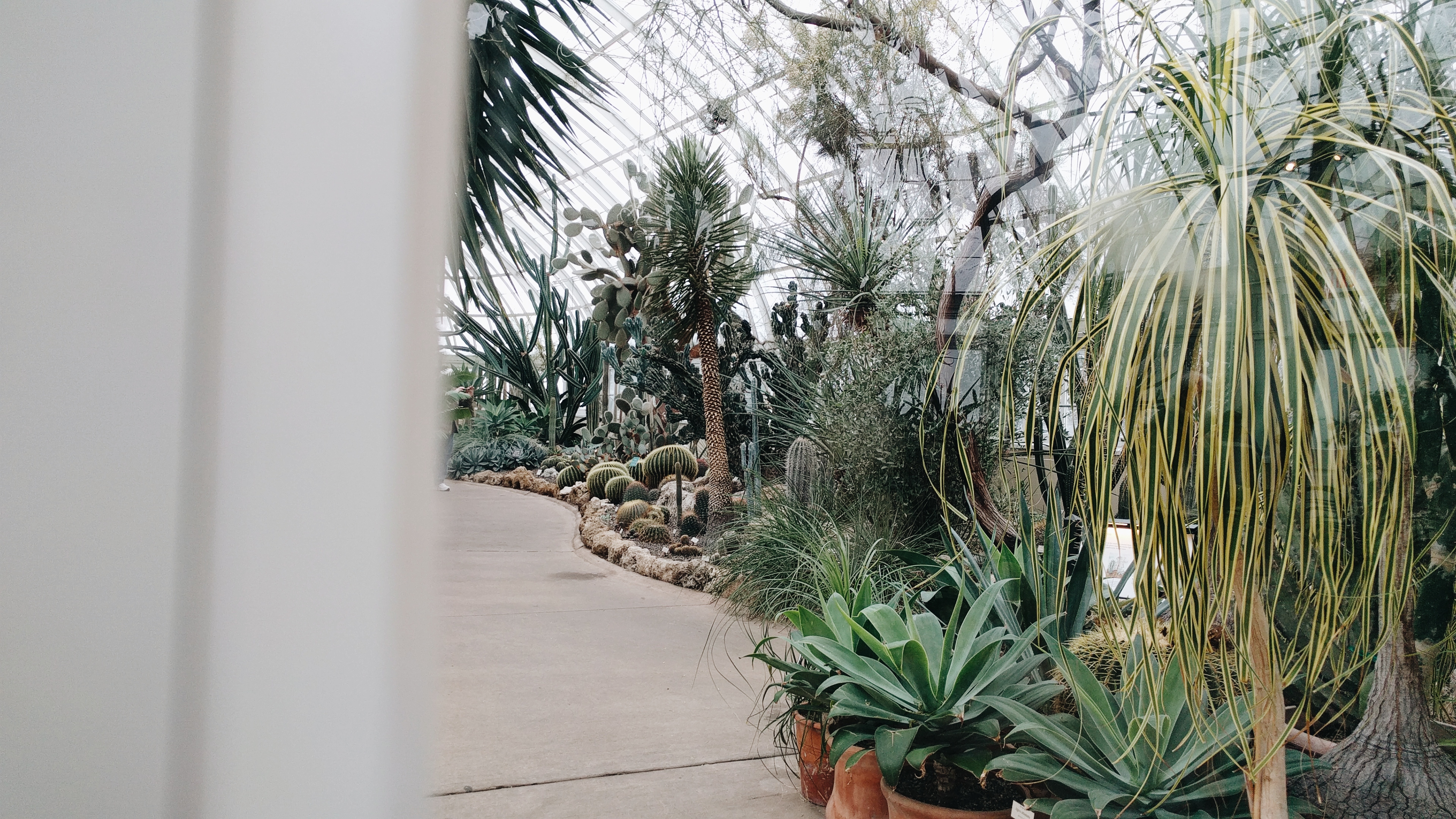 Processed with VSCO with a6 preset