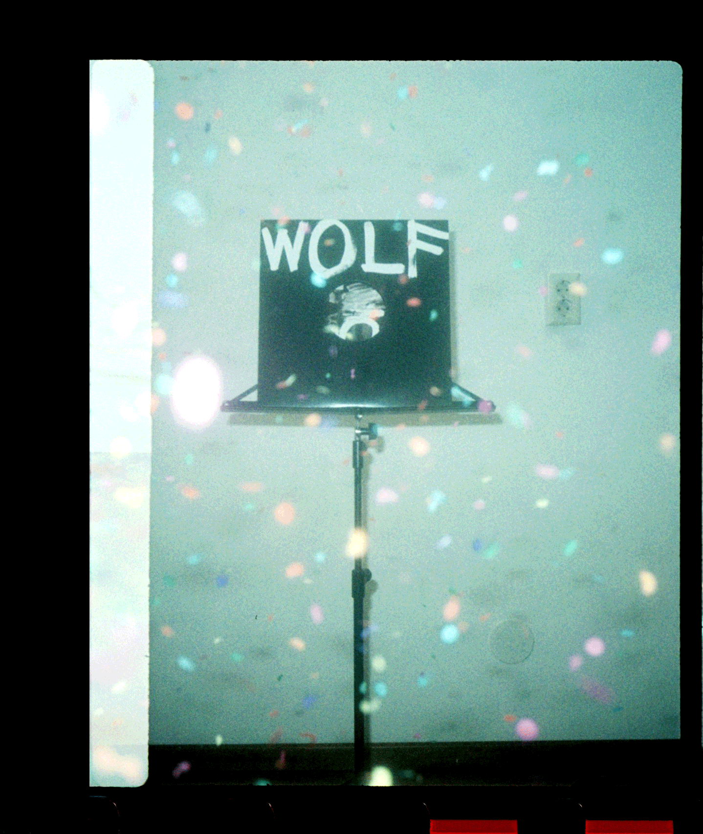 WOLFEP031