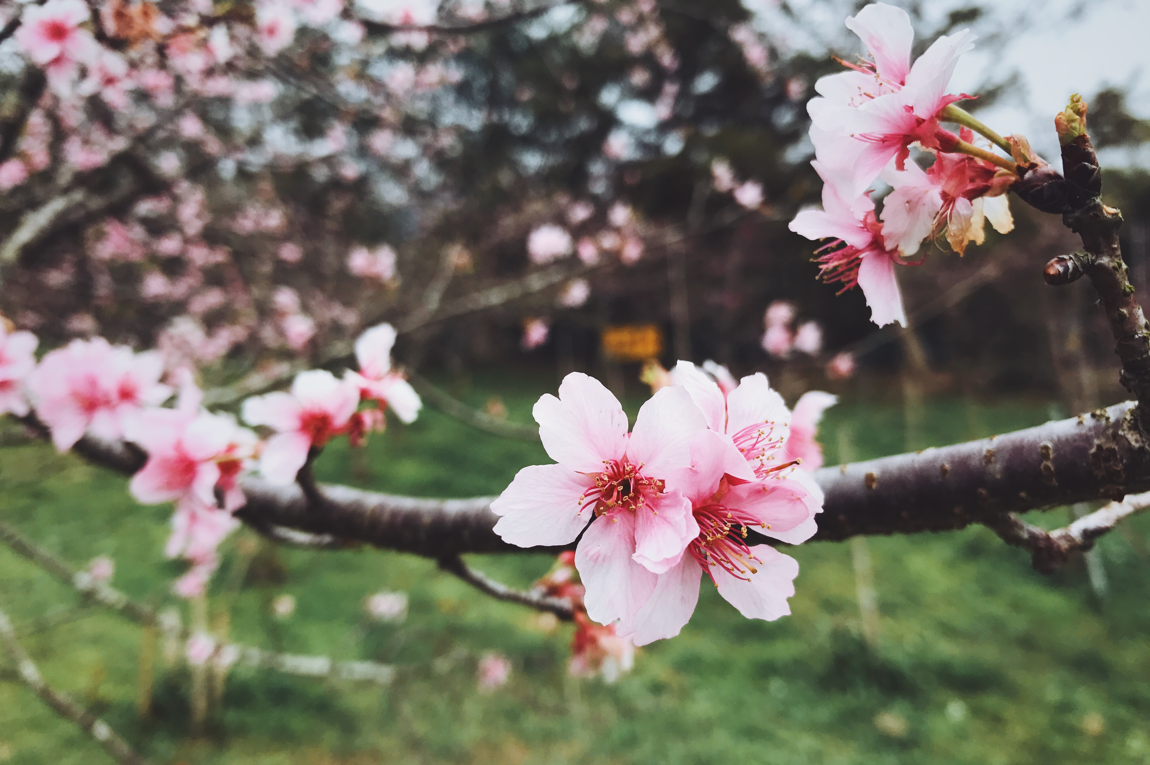 Processed with VSCO with a9 preset