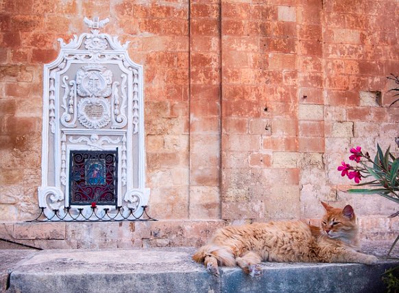 Screen Shot 2017-06-21 at 12.48.49