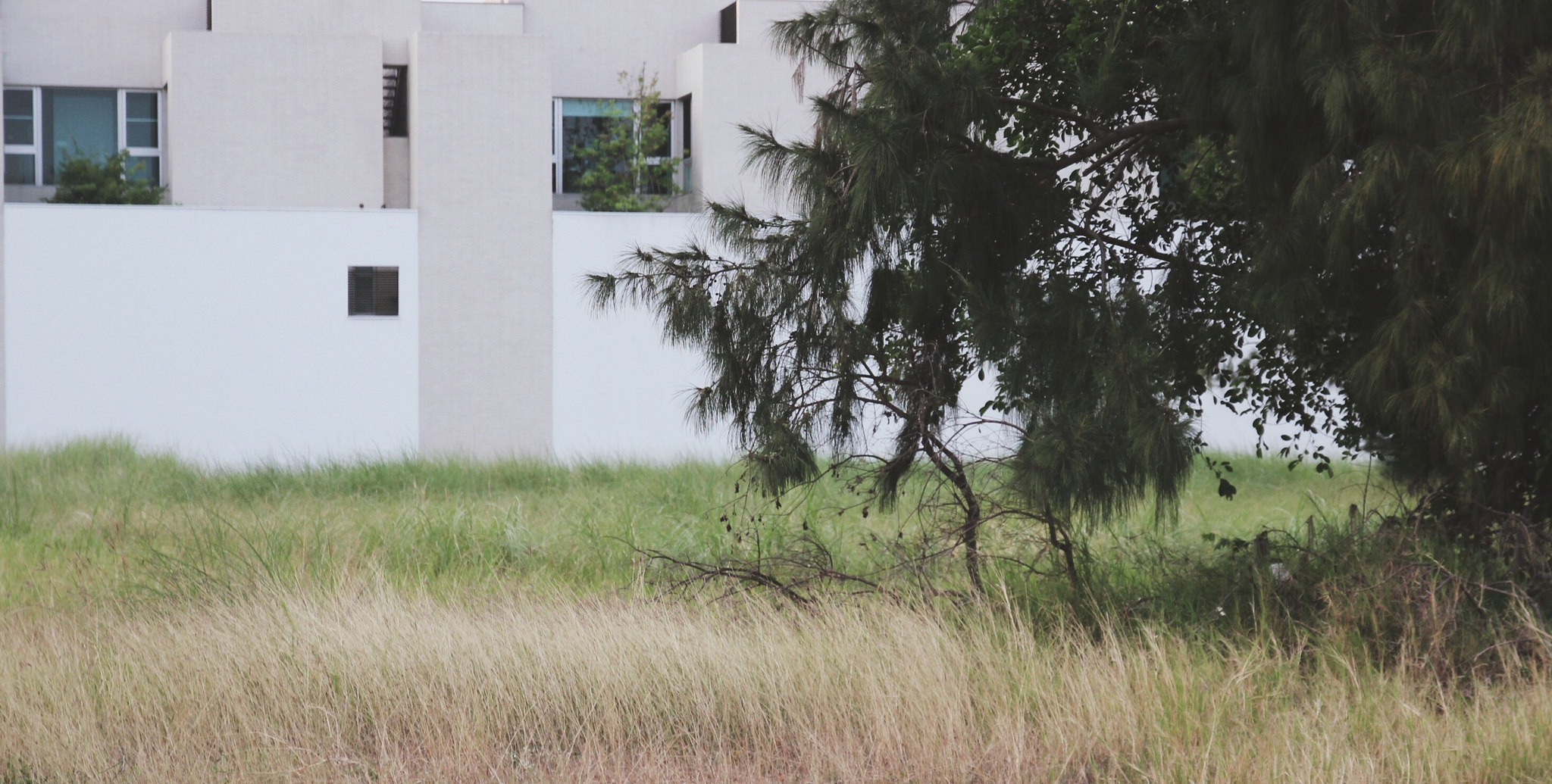35620159402_365e40a868_k